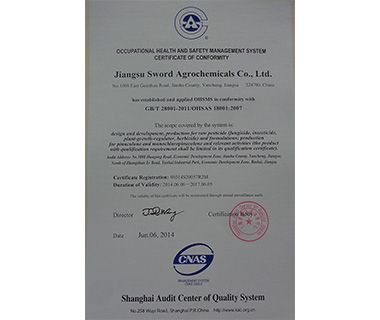 Occupational Health and Safety Management System Certification